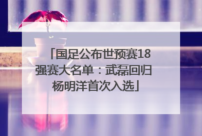 国足公布世预赛18强赛大名单：武磊回归 杨明洋首次入选