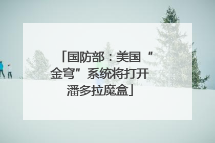 国防部：美国“金穹”系统将打开潘多拉魔盒