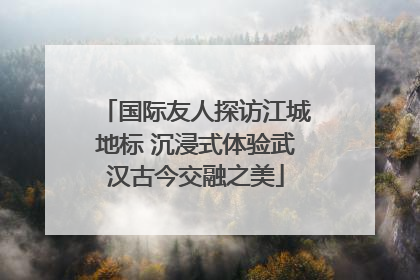 国际友人探访江城地标 沉浸式体验武汉古今交融之美