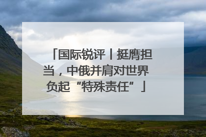 国际锐评丨挺膺担当，中俄并肩对世界负起“特殊责任”