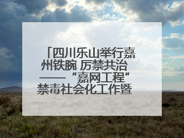 四川乐山举行嘉州铁腕 厉禁共治——“嘉网工程”禁毒社会化工作暨毒品集中销毁启动仪式