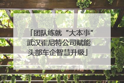 团队练就“大本事” 武汉霍尼特公司赋能头部车企智慧升级