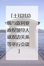 土耳其总统与叙利亚政权领导人就双边关系等举行会谈