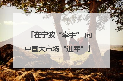 在宁波“牵手” 向中国大市场“进军”