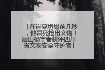 在崖墓坍塌前几秒，他冒死抢出文物！眉山杨宇春获评四川省文物安全守护者