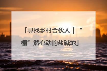 寻找乡村合伙人｜“棚”然心动的盐碱地
