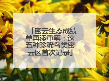 密云生态成绩单再添重笔：这五种珍稀鸟类密云区首次记录