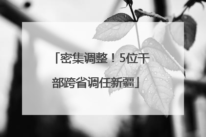 密集调整！5位干部跨省调任新疆