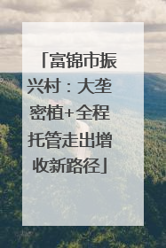 富锦市振兴村：大垄密植+全程托管走出增收新路径