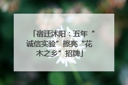 宿迁沭阳：五年“诚信实验”擦亮“花木之乡”招牌