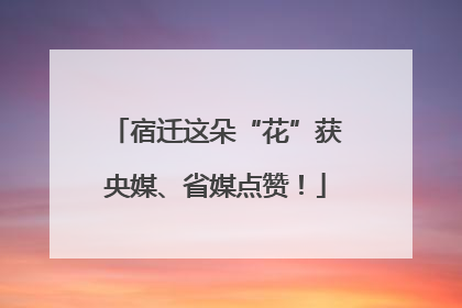 宿迁这朵“花”获央媒、省媒点赞！