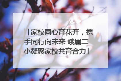 家校同心育花开，携手同行向未来 峨眉二小凝聚家校共育合力