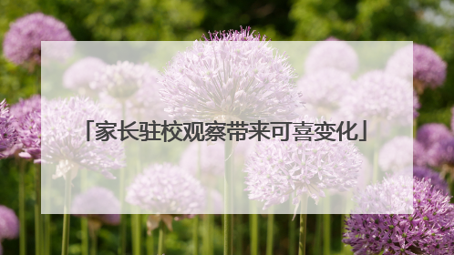 家长驻校观察带来可喜变化