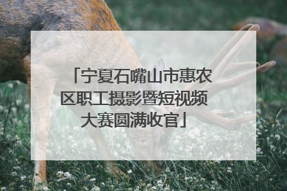 宁夏石嘴山市惠农区职工摄影暨短视频大赛圆满收官