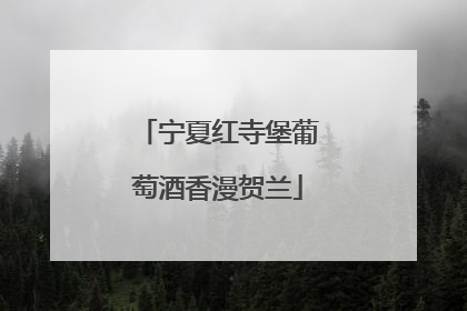 宁夏红寺堡葡萄酒香漫贺兰