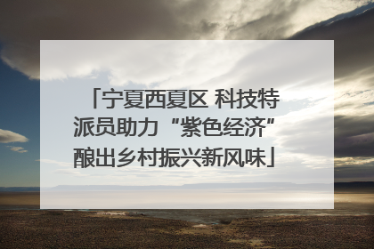 宁夏西夏区 科技特派员助力“紫色经济”酿出乡村振兴新风味