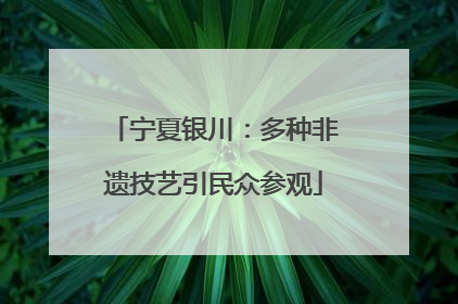 宁夏银川：多种非遗技艺引民众参观