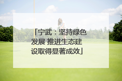 宁武：坚持绿色发展 推进生态建设取得显著成效