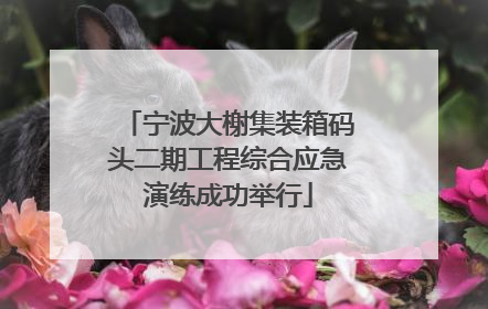 宁波大榭集装箱码头二期工程综合应急演练成功举行