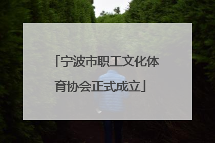 宁波市职工文化体育协会正式成立