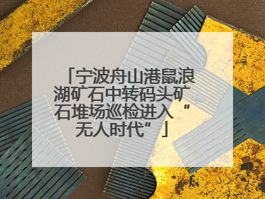 宁波舟山港鼠浪湖矿石中转码头矿石堆场巡检进入“无人时代”