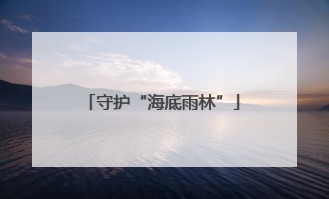 守护“海底雨林”