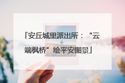 安丘城里派出所：“云端枫桥”绘平安图景