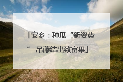 安乡：种瓜“新姿势” 吊藤结出致富果