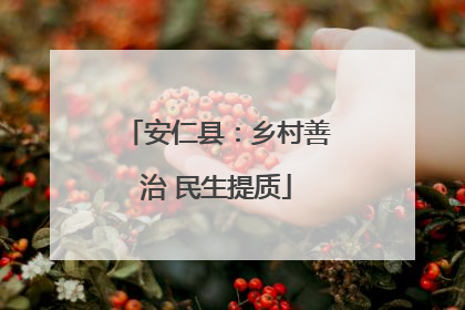 安仁县：乡村善治 民生提质