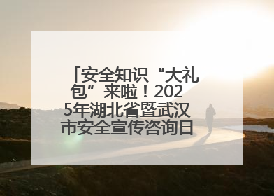 安全知识“大礼包”来啦！2025年湖北省暨武汉市安全宣传咨询日活动在汉举行