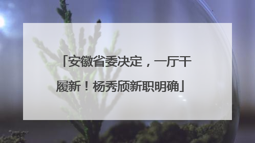 安徽省委决定，一厅干履新！杨秀颀新职明确