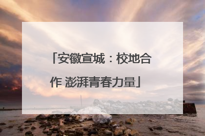 安徽宣城：校地合作 澎湃青春力量