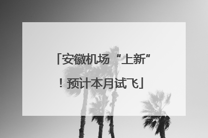 安徽机场“上新”！预计本月试飞