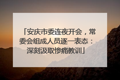 安庆市委连夜开会，常委会组成人员逐一表态：深刻汲取惨痛教训