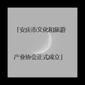 安庆市文化和旅游产业协会正式成立