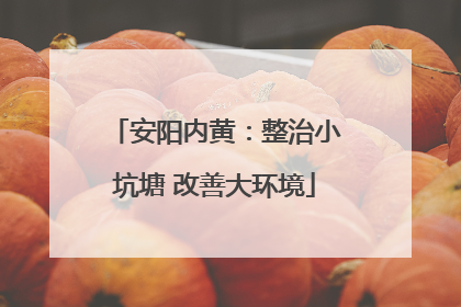 安阳内黄：整治小坑塘 改善大环境