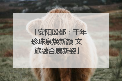 安阳殷都：千年珍珠泉焕新颜 文旅融合展新姿