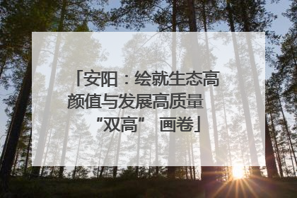 安阳：绘就生态高颜值与发展高质量 “双高” 画卷