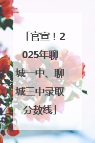官宣！2025年聊城一中、聊城三中录取分数线