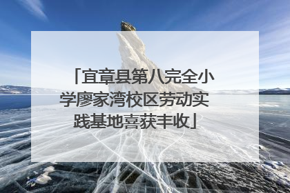 宜章县第八完全小学廖家湾校区劳动实践基地喜获丰收