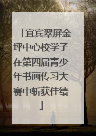宜宾翠屏金坪中心校学子在第四届青少年书画传习大赛中斩获佳绩