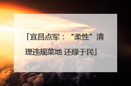 宜昌点军：“柔性”清理违规菜地 还绿于民