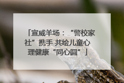 宣威羊场：“警校家社”携手 共绘儿童心理健康“同心圆”