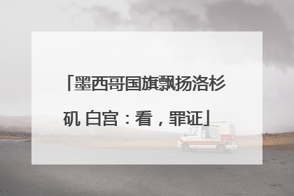 墨西哥国旗飘扬洛杉矶 白宫：看，罪证
