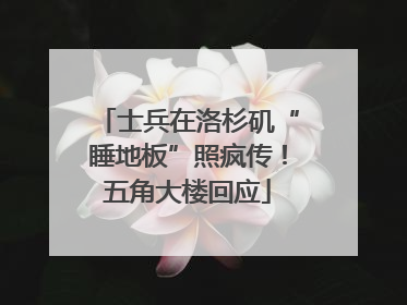 士兵在洛杉矶“睡地板”照疯传！五角大楼回应