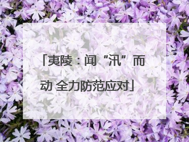 夷陵：闻“汛”而动 全力防范应对