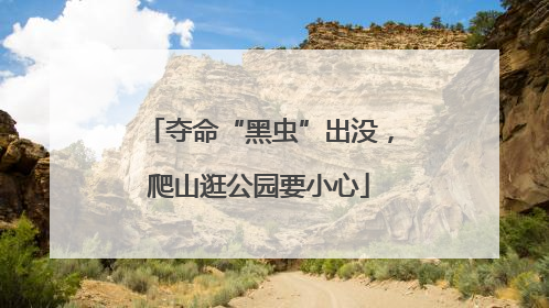 夺命“黑虫”出没，爬山逛公园要小心