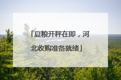 夏粮开秤在即，河北收购准备就绪