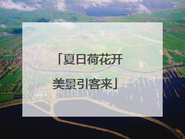 夏日荷花开 美景引客来