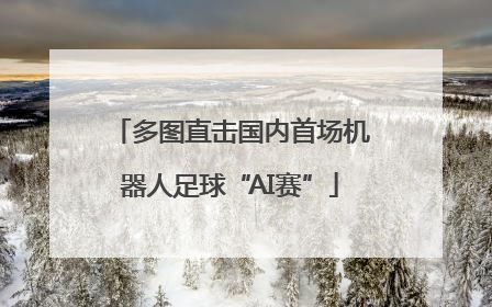 多图直击国内首场机器人足球“AI赛”